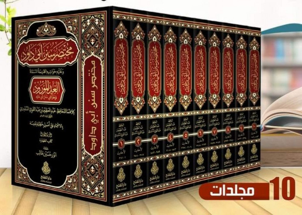 مختصر سنن أبي داود