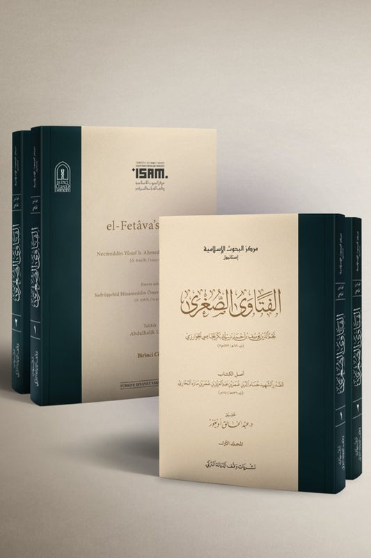 الفتاوى الصغرى ٢ج