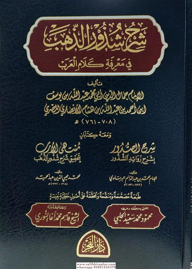 شرح شذور الذهب في معرفة كلام العرب